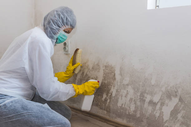 Best Office Mold Removal Services  in Durham, NC