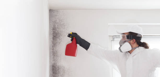 Durham, NC Mold Removal Company